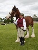 Image 61 in REDWINGS SHOW AT TOPTHORN  17 MAY 2015