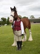 Image 62 in REDWINGS SHOW AT TOPTHORN  17 MAY 2015