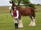 Image 64 in REDWINGS SHOW AT TOPTHORN  17 MAY 2015