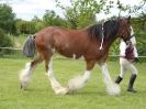 Image 65 in REDWINGS SHOW AT TOPTHORN  17 MAY 2015