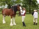 Image 66 in REDWINGS SHOW AT TOPTHORN  17 MAY 2015