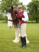 Image 67 in REDWINGS SHOW AT TOPTHORN  17 MAY 2015