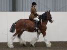 Image 68 in REDWINGS SHOW AT TOPTHORN  17 MAY 2015