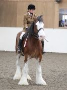 Image 69 in REDWINGS SHOW AT TOPTHORN  17 MAY 2015