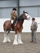 Image 70 in REDWINGS SHOW AT TOPTHORN  17 MAY 2015