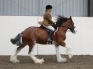 Image 71 in REDWINGS SHOW AT TOPTHORN  17 MAY 2015