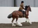 Image 72 in REDWINGS SHOW AT TOPTHORN  17 MAY 2015