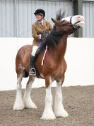 Image 73 in REDWINGS SHOW AT TOPTHORN  17 MAY 2015