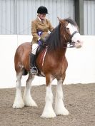 Image 74 in REDWINGS SHOW AT TOPTHORN  17 MAY 2015