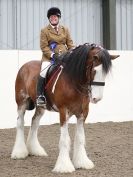 Image 75 in REDWINGS SHOW AT TOPTHORN  17 MAY 2015