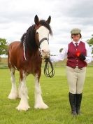 Image 8 in REDWINGS SHOW AT TOPTHORN  17 MAY 2015