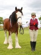 Image 8 in REDWINGS SHOW AT TOPTHORN 17 MAY 2015