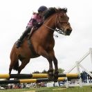 Image 22 in ADVENTURE RIDING CLUB 24 MAY 2015