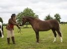 Image 10 in BERGH APTON HORSE SHOW.