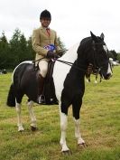 Image 100 in BERGH APTON HORSE SHOW.