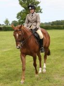 Image 101 in BERGH APTON HORSE SHOW.