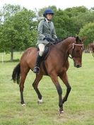 Image 102 in BERGH APTON HORSE SHOW.