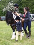 Image 103 in BERGH APTON HORSE SHOW.