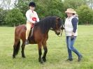 Image 104 in BERGH APTON HORSE SHOW.