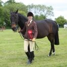 Image 11 in BERGH APTON HORSE SHOW.