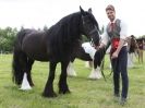 Image 12 in BERGH APTON HORSE SHOW.