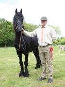 Image 13 in BERGH APTON HORSE SHOW.