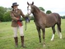 Image 15 in BERGH APTON HORSE SHOW.