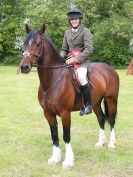 Image 17 in BERGH APTON HORSE SHOW.