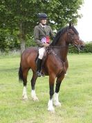 Image 18 in BERGH APTON HORSE SHOW.