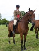 Image 19 in BERGH APTON HORSE SHOW.