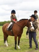 Image 2 in BERGH APTON HORSE SHOW.