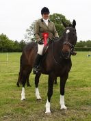 Image 21 in BERGH APTON HORSE SHOW.