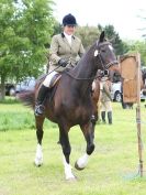 Image 24 in BERGH APTON HORSE SHOW.