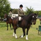 Image 25 in BERGH APTON HORSE SHOW.