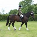 Image 27 in BERGH APTON HORSE SHOW.