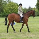 Image 29 in BERGH APTON HORSE SHOW.