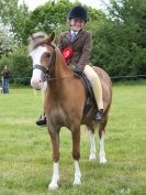 Image 3 in BERGH APTON HORSE SHOW.