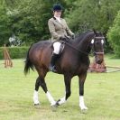 Image 30 in BERGH APTON HORSE SHOW.