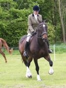 Image 34 in BERGH APTON HORSE SHOW.