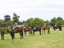 Image 35 in BERGH APTON HORSE SHOW.