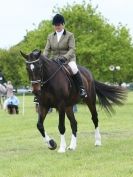 Image 37 in BERGH APTON HORSE SHOW.