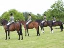 Image 39 in BERGH APTON HORSE SHOW.