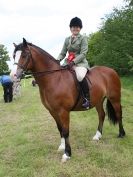 Image 4 in BERGH APTON HORSE SHOW.