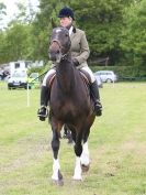 Image 40 in BERGH APTON HORSE SHOW.