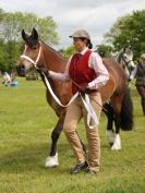 Image 42 in BERGH APTON HORSE SHOW.