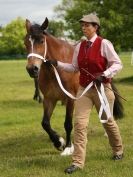 Image 43 in BERGH APTON HORSE SHOW.