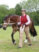 Image 47 in BERGH APTON HORSE SHOW.