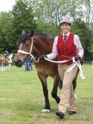 Image 48 in BERGH APTON HORSE SHOW.