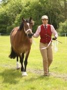 Image 49 in BERGH APTON HORSE SHOW.