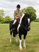 Image 5 in BERGH APTON HORSE SHOW.